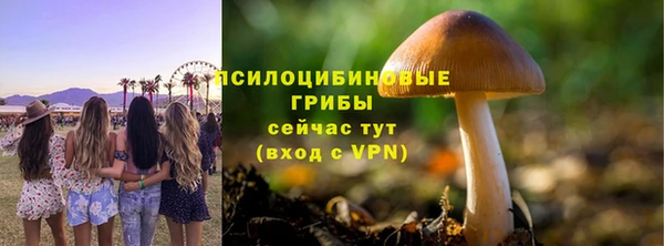 Альфа ПВП Горно-Алтайск