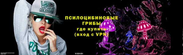 стафф Горнозаводск