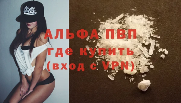 Альфа ПВП Горно-Алтайск