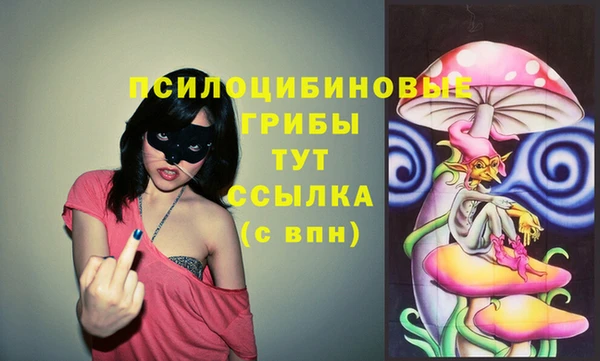 Альфа ПВП Горно-Алтайск