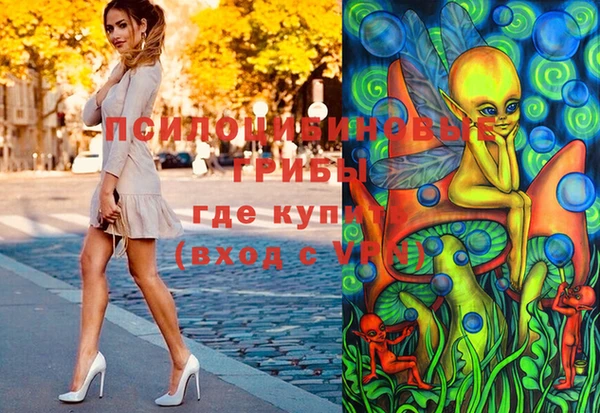 стафф Горнозаводск